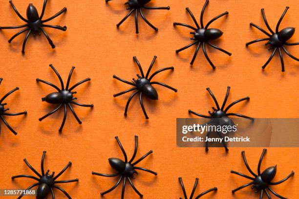 toy spiders on an orange background - spider stockfoto's en -beelden