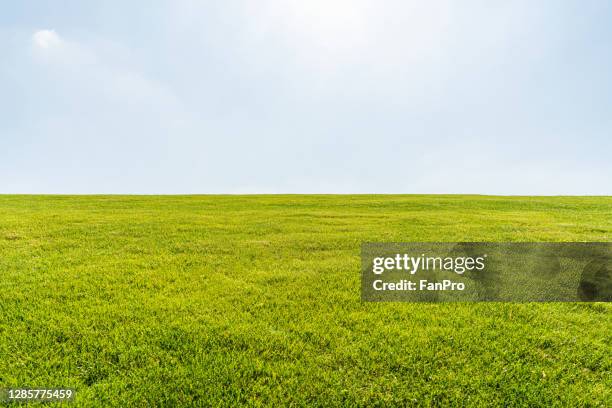 empty green meadow - gazon photos et images de collection
