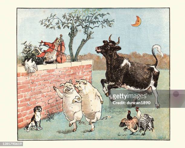 stockillustraties, clipart, cartoons en iconen met hey diddle diddle, the cat and the fiddle, nursery rhyme - year of the pig