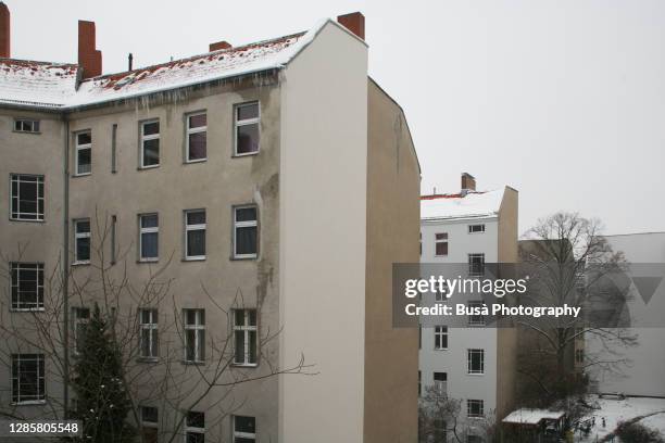 snow on residential buildings and bare winter trees in berlin, germany - berlin winter stock pictures, royalty-free photos & images