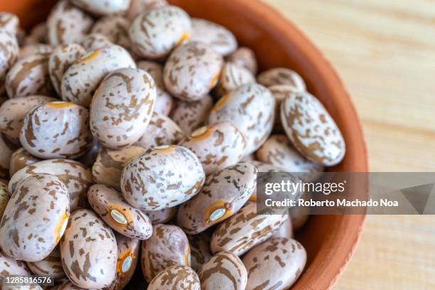 top-down view of pinto beans with copy space - pinto bean stock pictures, royalty-free photos & images