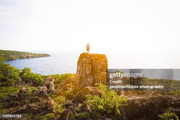 vandring i afrika vid tanganyikasjön - tanganyikasjön bildbanksfoton och bilder