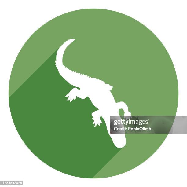green alligator icon - crawling icon stock illustrations