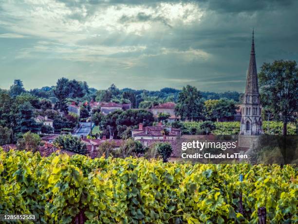 sauternes vineyard 2 - sauternes stock pictures, royalty-free photos & images