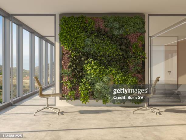 new office with vertical garden - living_walls stock pictures, royalty-free photos & images