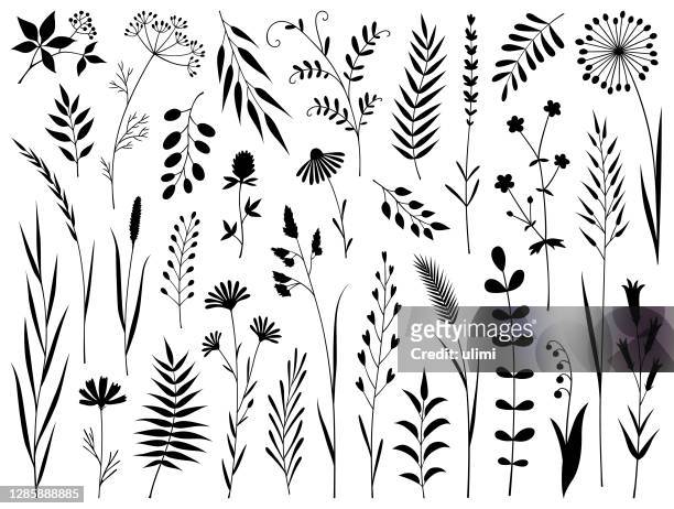plants - plant stem stock illustrations
