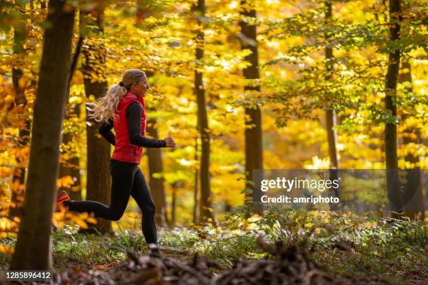 sportlerin, motivierte reife frau beim ausdauertraining im freien im herbstlichen blattwald - läuferin stock-fotos und bilder