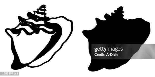 40 Conch Shell Silhouette Stock Photos, High-Res Pictures, and Images ...