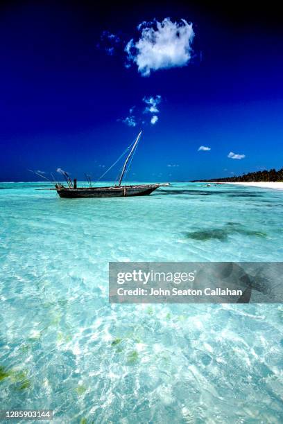 zanzibar, matemwe beach - zanzibar foto e immagini stock