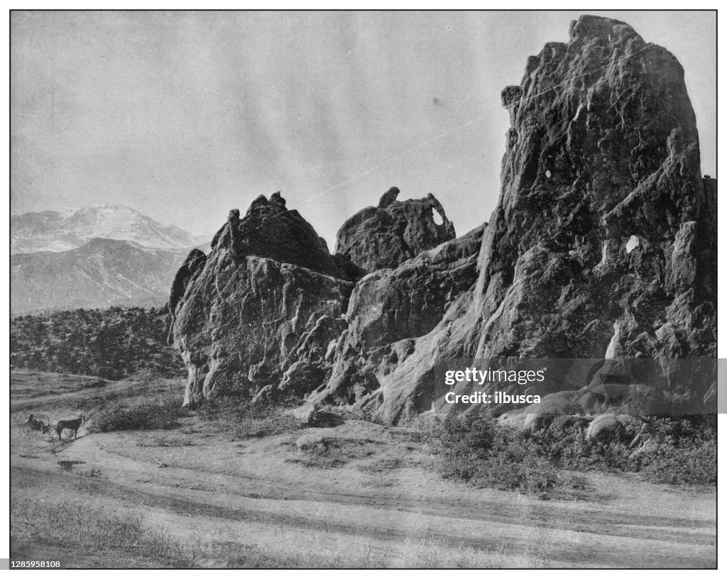 Antique black and white photo of the United States: Seal and Bear, Garden of the Gods