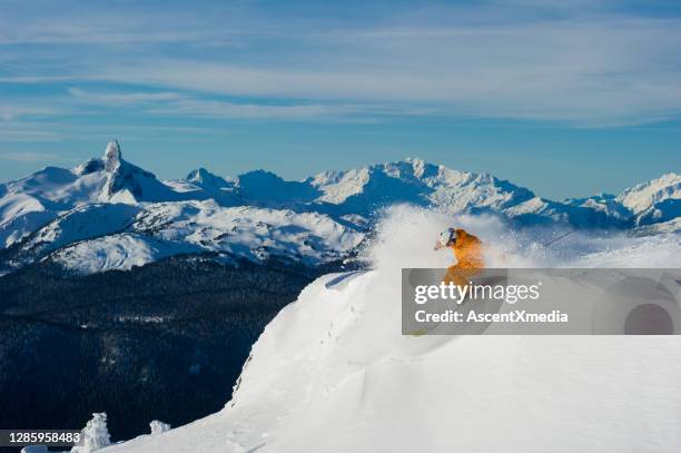 the pleasure of skiing fresh powder - skiing stock pictures, royalty-free photos & images