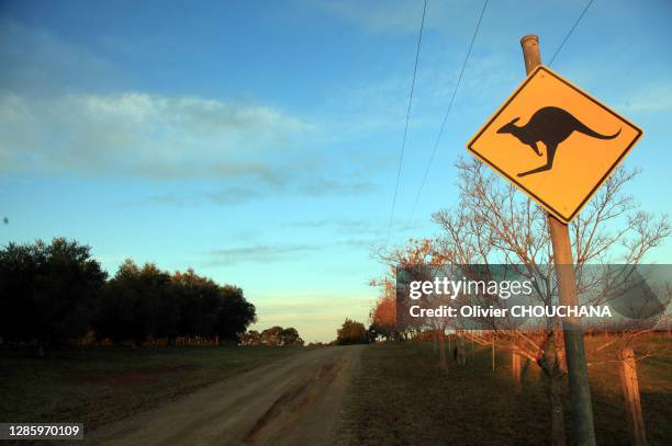 Signalisation routière annonçant des kangourous sur la route dans l'etat de nouvelle Galles du Sud,11 Juin 2018, Nouvelle Galles du Sud, Australie.