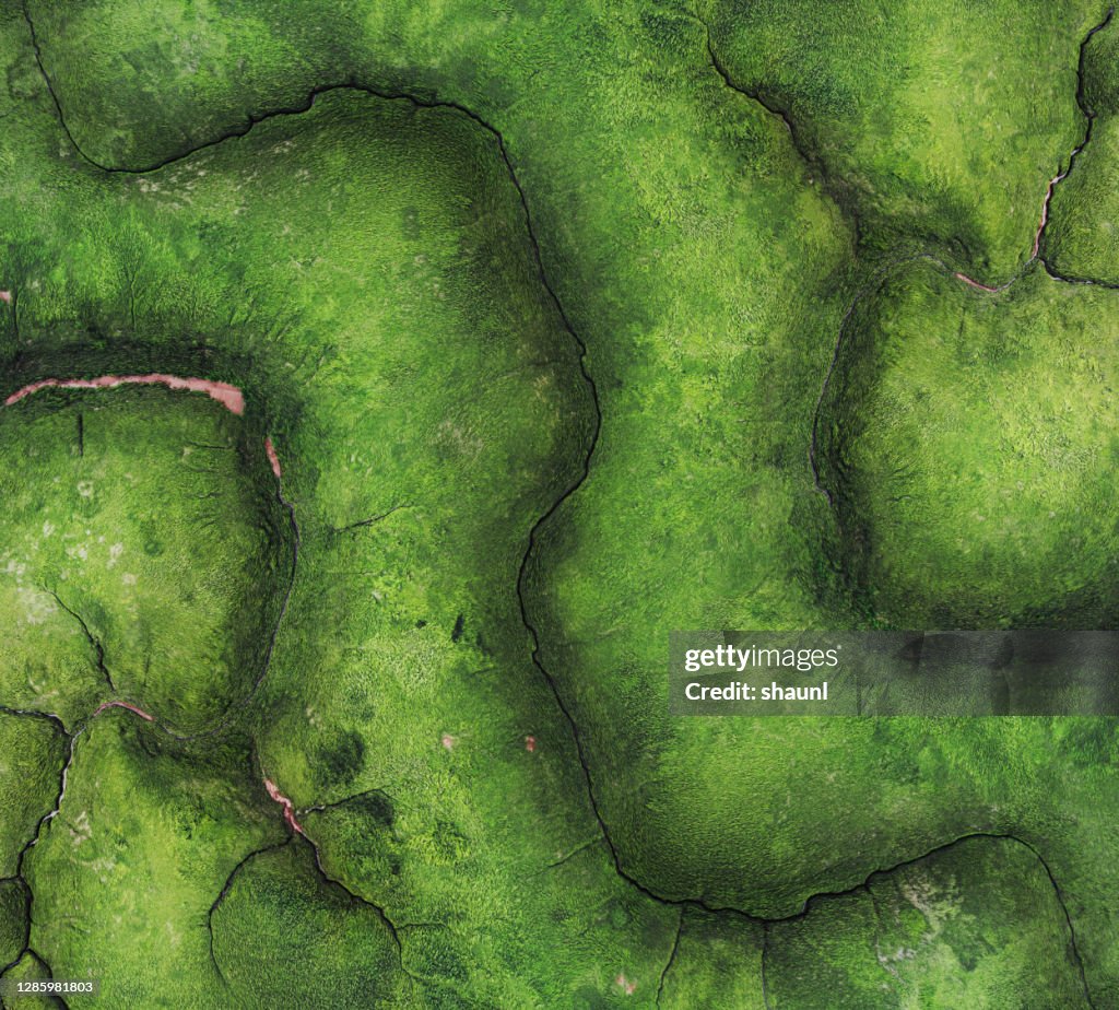 タイダルマッドフラットの空中写真