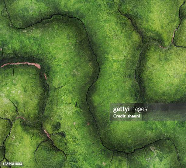 aerial view of tidal mudflat - bay of fundy stock pictures, royalty-free photos & images