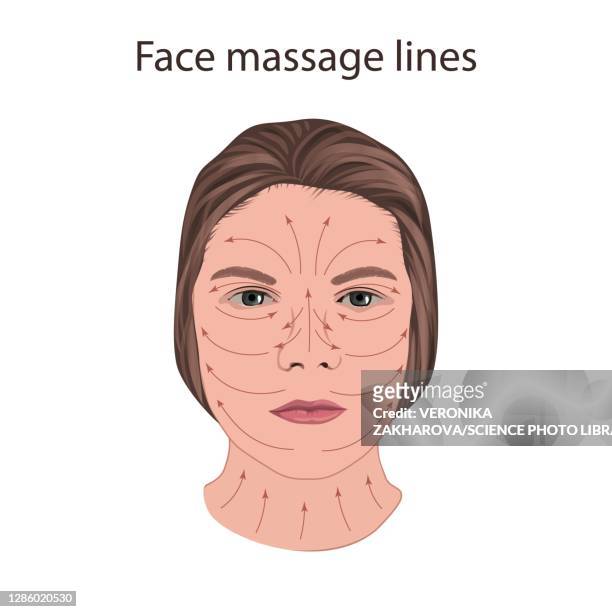 face massage lines, illustration - anti aging stock illustrations