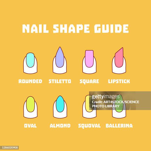 nail shapes, illustration - fingernail stock-grafiken, -clipart, -cartoons und -symbole