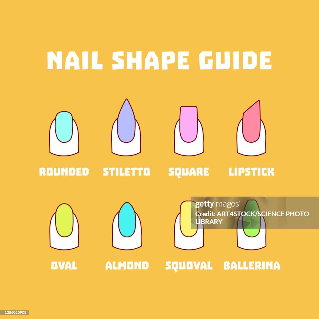Nail shapes, illustration