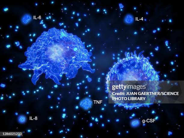 cytokine storm, conceptual illustration - peptide stock illustrations