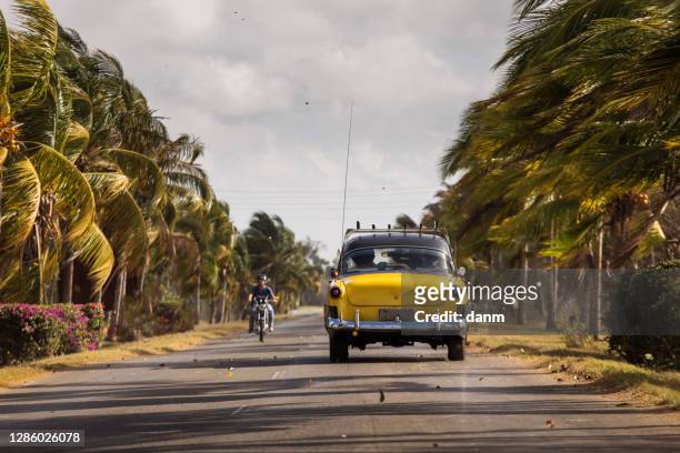 old american car on street with full of palm trees around. beatiful road of bay of pigs, cuba - viñales cuba fotografías e imágenes de stock