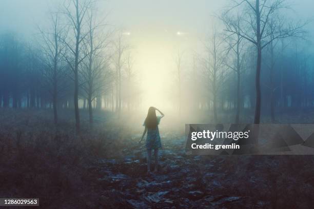 woman in the forest with mysterious lights at night - spooky fog stock pictures, royalty-free photos & images