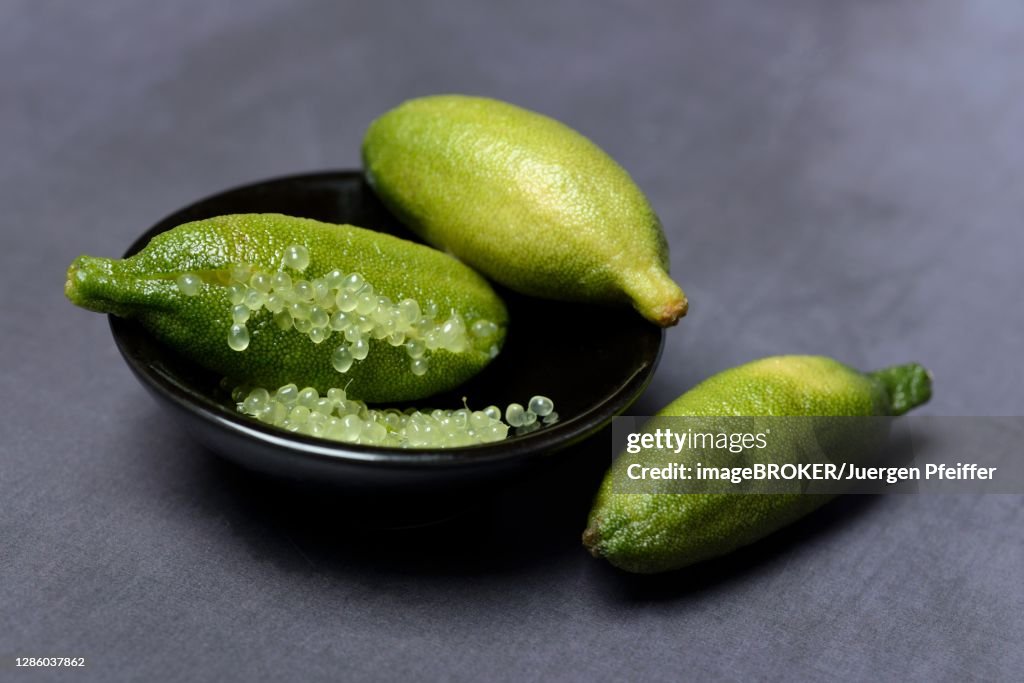 Australian finger lime (Microcitrus australasica) in bowl, finger lime, lime caviar, Germany