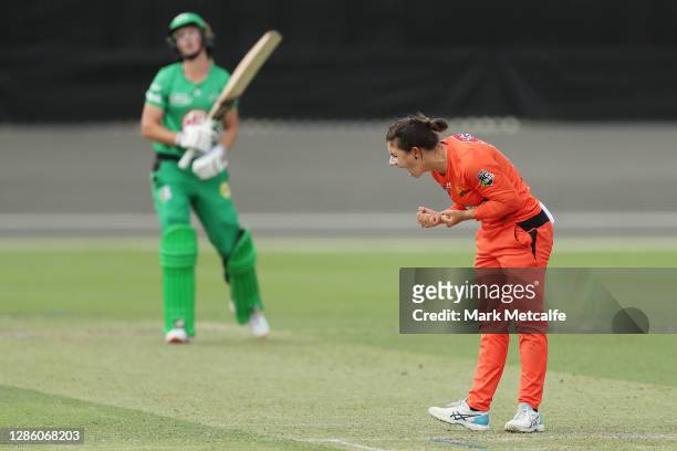 Nicole Bolton of the Scorchers celebrates taking the wicket of Meg Lanning of the Stars during the Women's Big Bash League WBBL match between the...