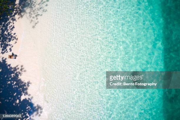 aerial view of a girl relax in the tropical beach island with blue clear sea water that can see the coral reef under the sea water in summer season of thailand, asia - can beach sun photos et images de collection