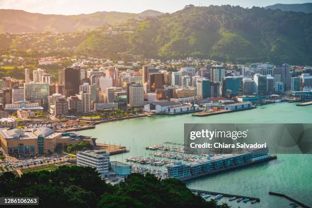 wellington from mount victoria at the sunset - wellington nieuw zeeland stockfoto's en -beelden