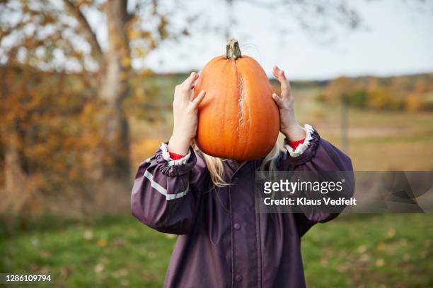 1,468 Funny Pumpkin Faces Photos and Premium High Res Pictures - Getty  Images