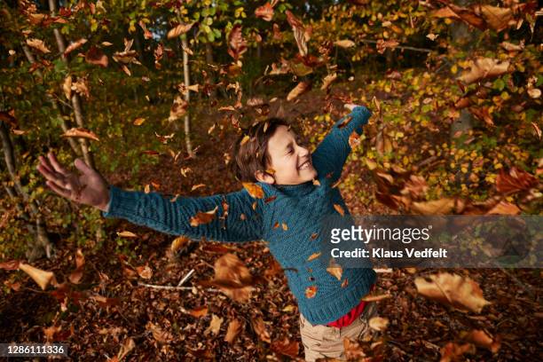 cheerful boy enjoying amidst falling autumn leaves - young leafs stockfoto's en -beelden