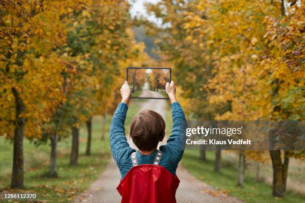 boy photographing road amidst autumn trees - holding above head stock pictures, royalty-free photos & images