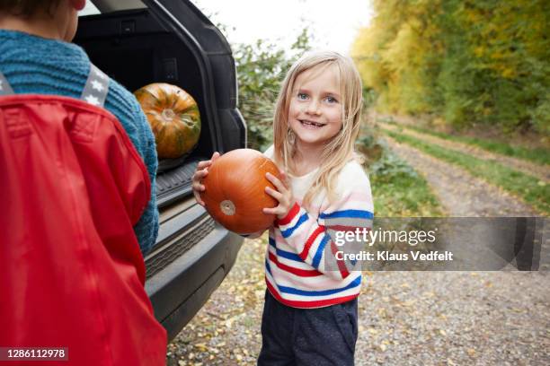 smiling blond girl holding pumpkin by brother - lane sisters stockfoto's en -beelden