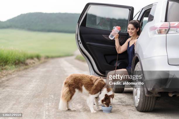 車と犬の飲料水に座っている若い女性 - 犬　水 ストックフォトと画像