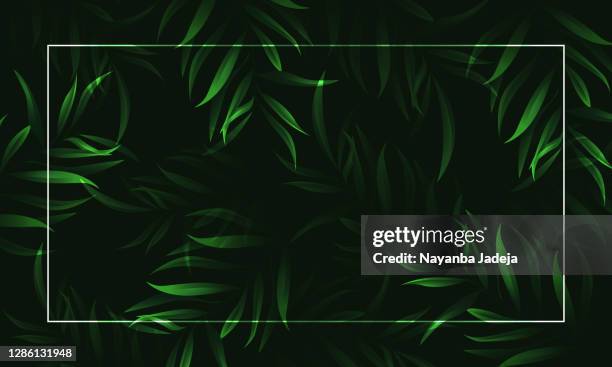 green leaf on frame greenery background in garden with copy space using illustration - lush green stock illustrations