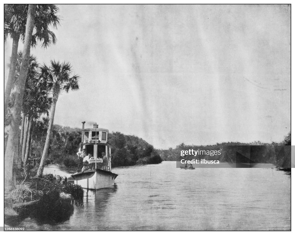 Antique black and white photo of the United States: Indian River, Florida