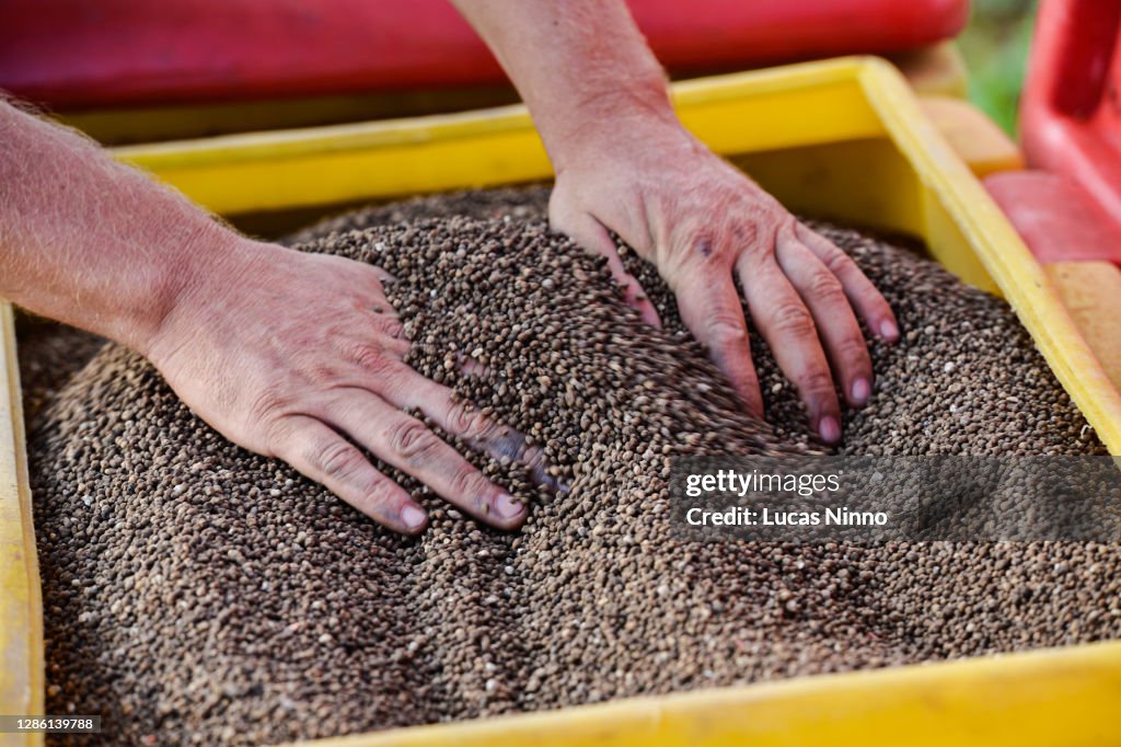 Fertilizer Tray