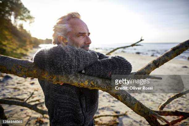 mature man leaning on tree on the beach - oliver fink stock pictures, royalty-free photos & images