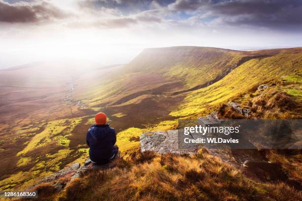 brecon beacons landscape - powys stock pictures, royalty-free photos & images