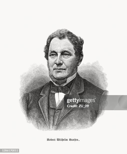 robert wilhelm bunsen (1811–1899), deutscher chemiker, holzstich, erschienen 1893 - bunsenbrenner stock-grafiken, -clipart, -cartoons und -symbole