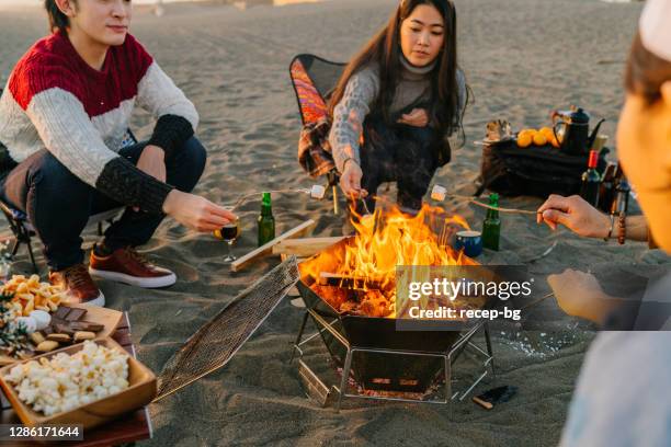 group of young friends enjoying christmas party at beach and eating marshmallow - bonfire beach stock pictures, royalty-free photos & images