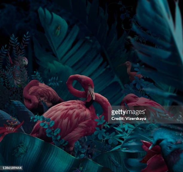 slapende roze flamingo's - dark botanical fauna stockfoto's en -beelden