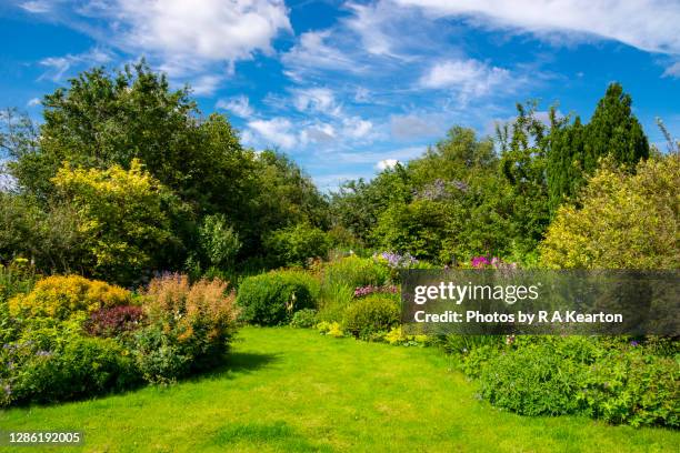 mid summer in an english country garden - british culture garden stock pictures, royalty-free photos & images