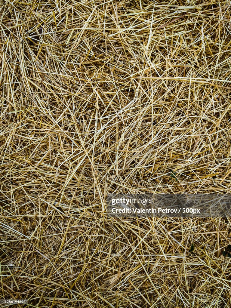 Full frame shot of hay bale on field