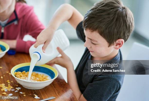 milk gives it that extra mmm - bowl of cereal stock pictures, royalty-free photos & images