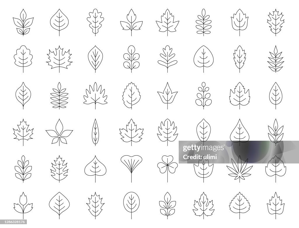Leaves icon set