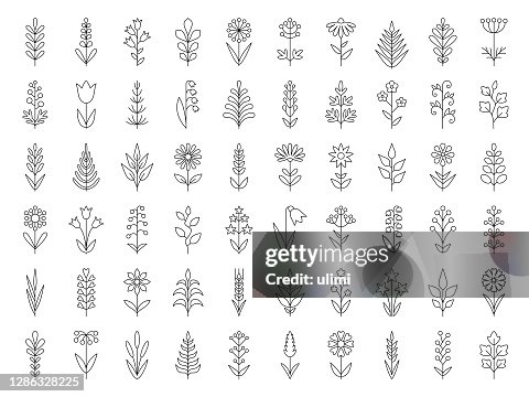 Plants icon set Plants icon set