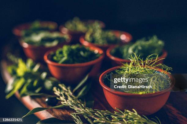 low key of different green herbs on a rustic wooden board with focus on the fennel - chive stock pictures, royalty-free photos & images