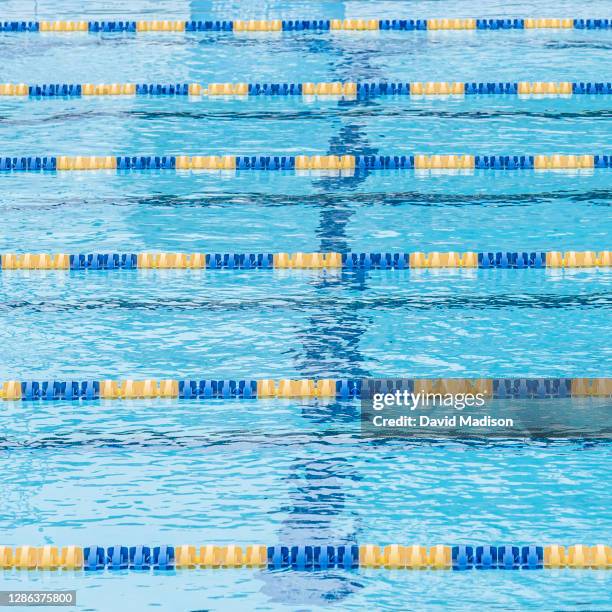 Line In Pool Pool Lane Lines Photos and Premium High Res Pictures - Getty Images
