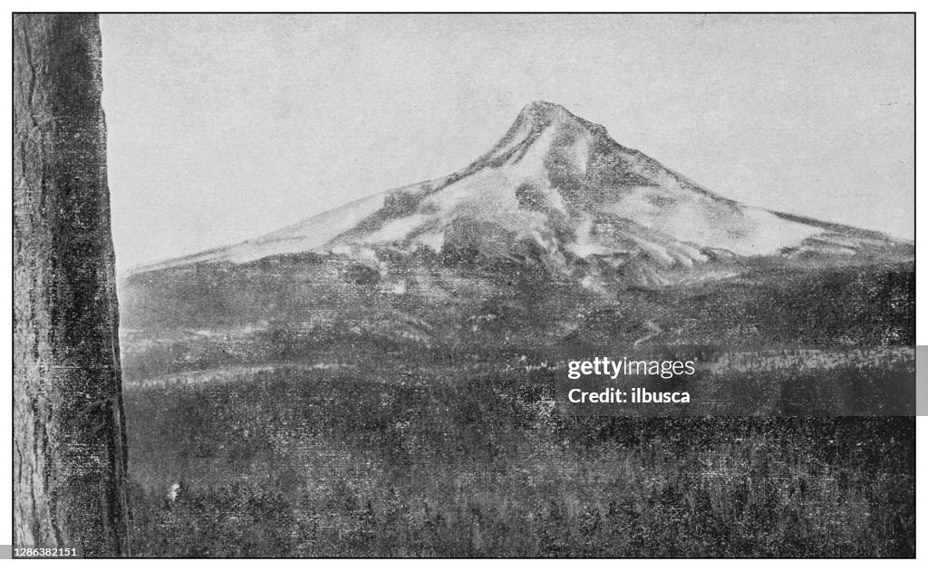 Antique black and white photo of the United States: Mount Hood, Oregon