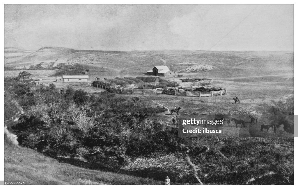Antique black and white photo of the United States: Ranch in North Dakota